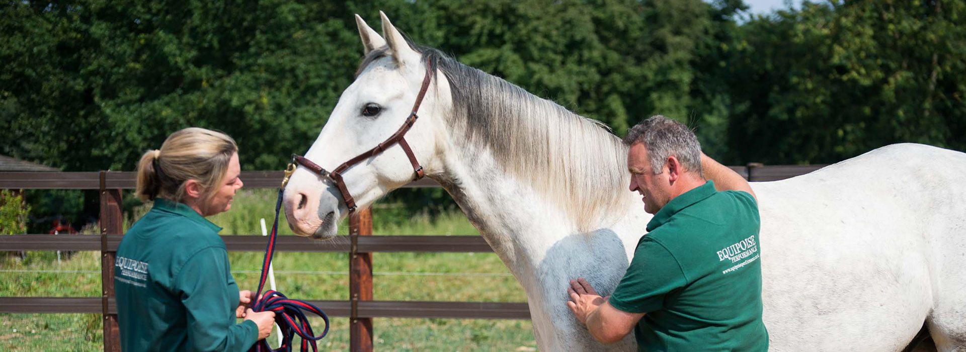 Equipoise Performance | Equine Rehabilitation Kent | Horsecare Shop
